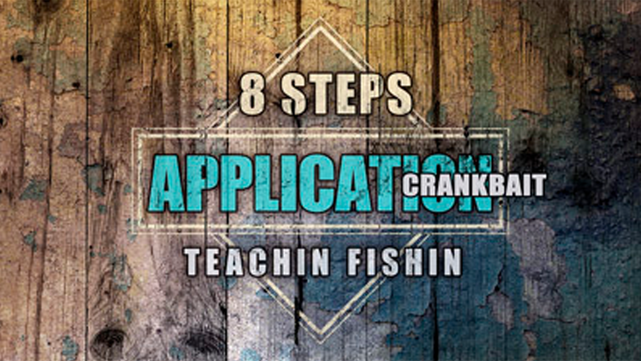 8 Steps Application: Fall Walleye